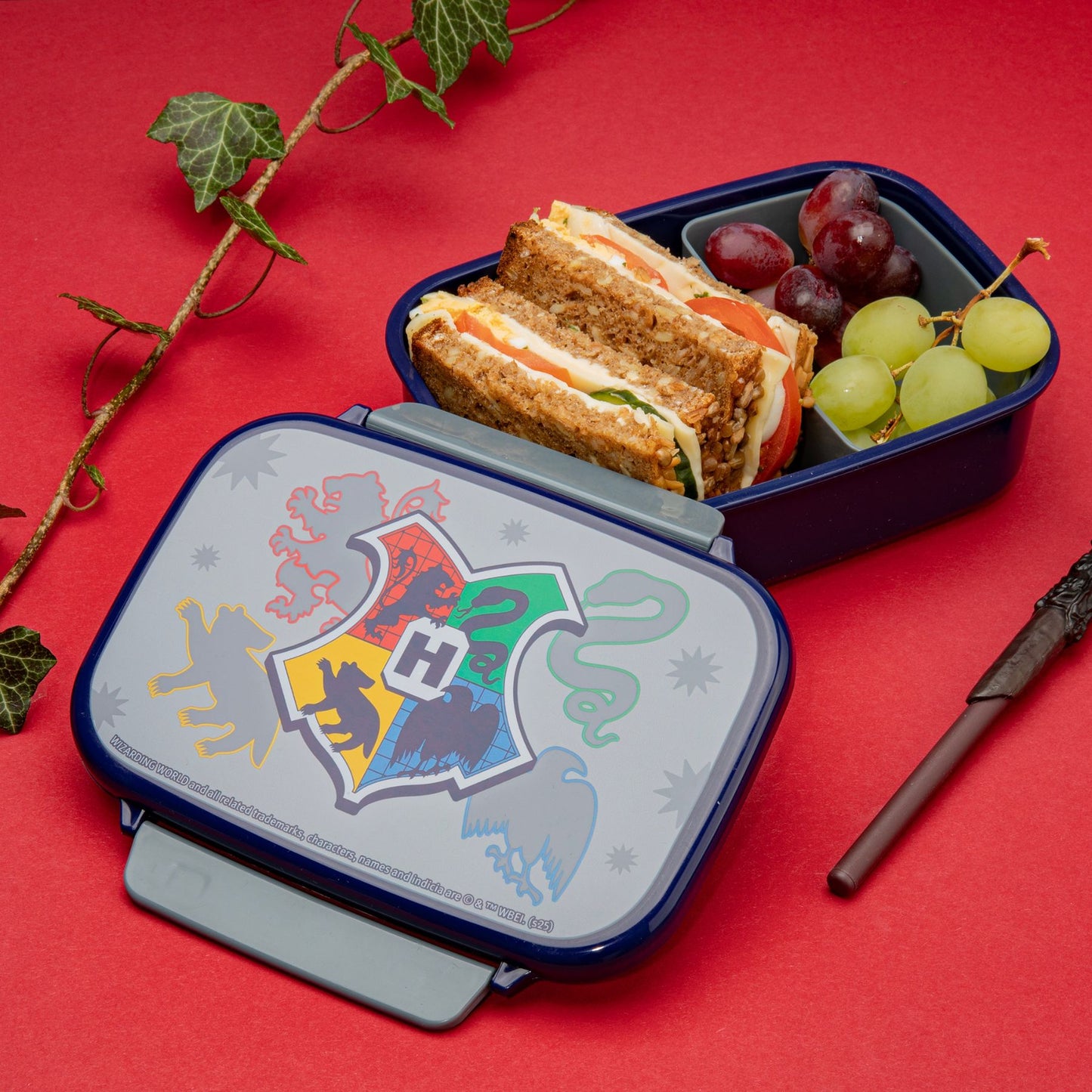 Harry Potter Lunchbox mehrfarbig Brotdose Pausenbox für Alltag Schule und unterwegs