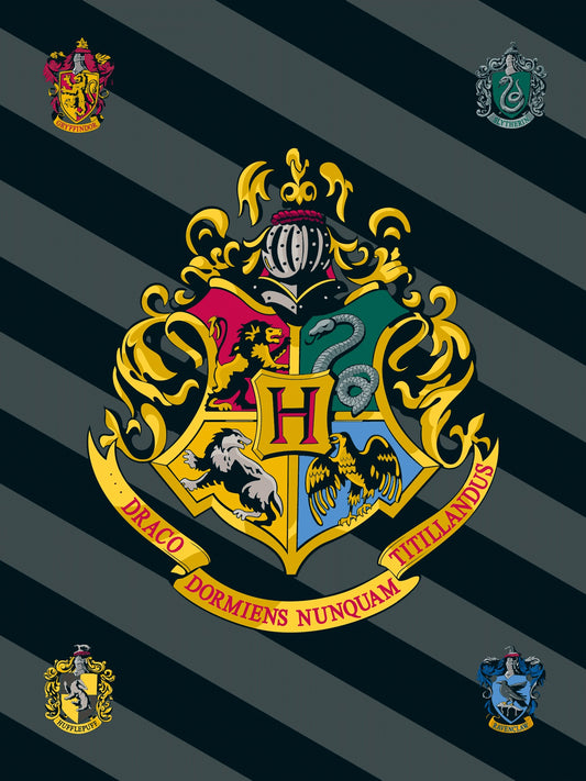 Harry Potter Fleece-Decke 100x150 cm Kuscheldecke aus 100 % Polyester, Weich & Warm