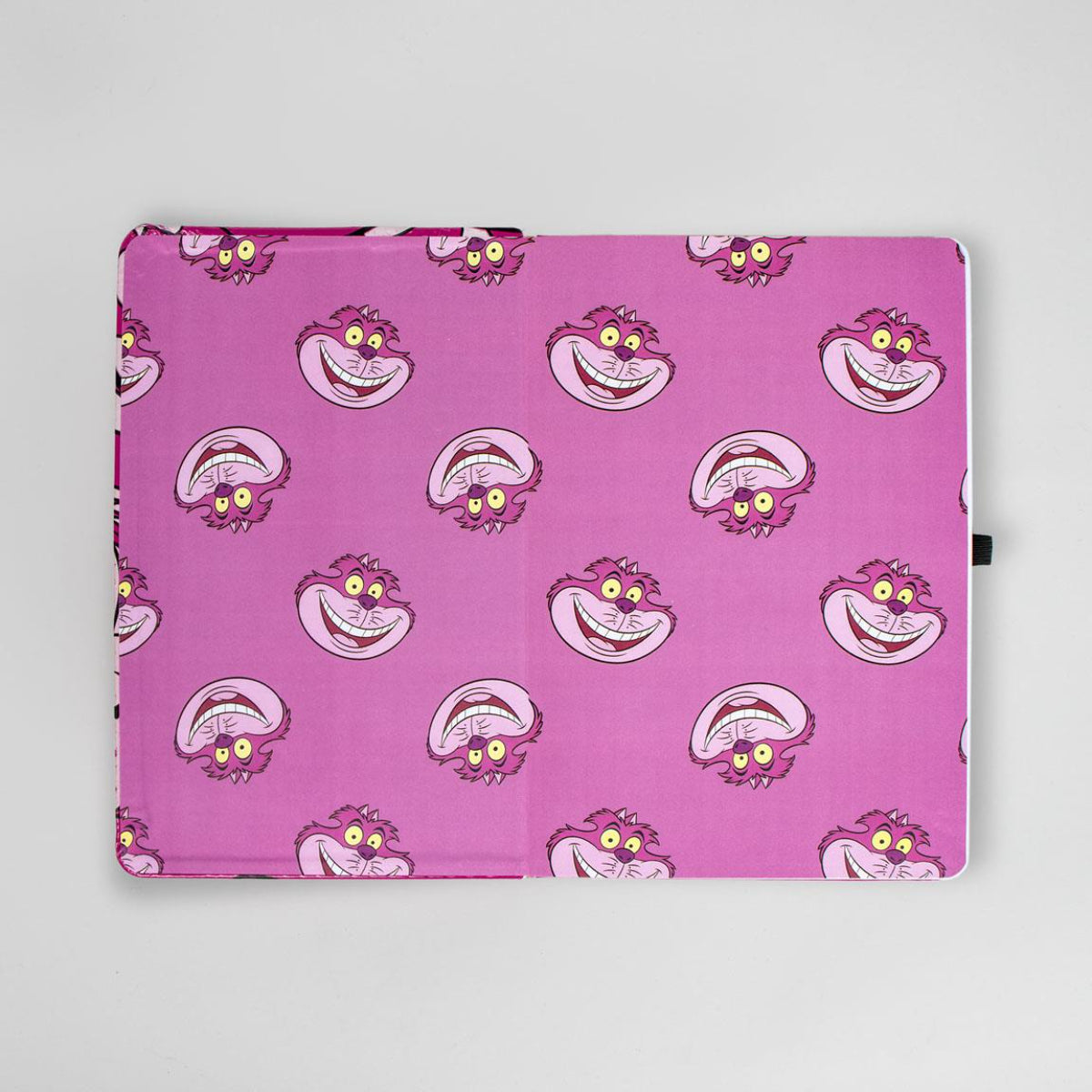 Disney Alicia Premium Notebook Hochwertiges Notizbuch für Disney-Fans