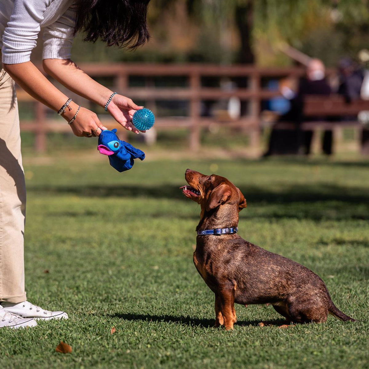 Disney Stitch Hundespielzeug Ball Beißrform für gesunde Zähne und Zahnfleisch