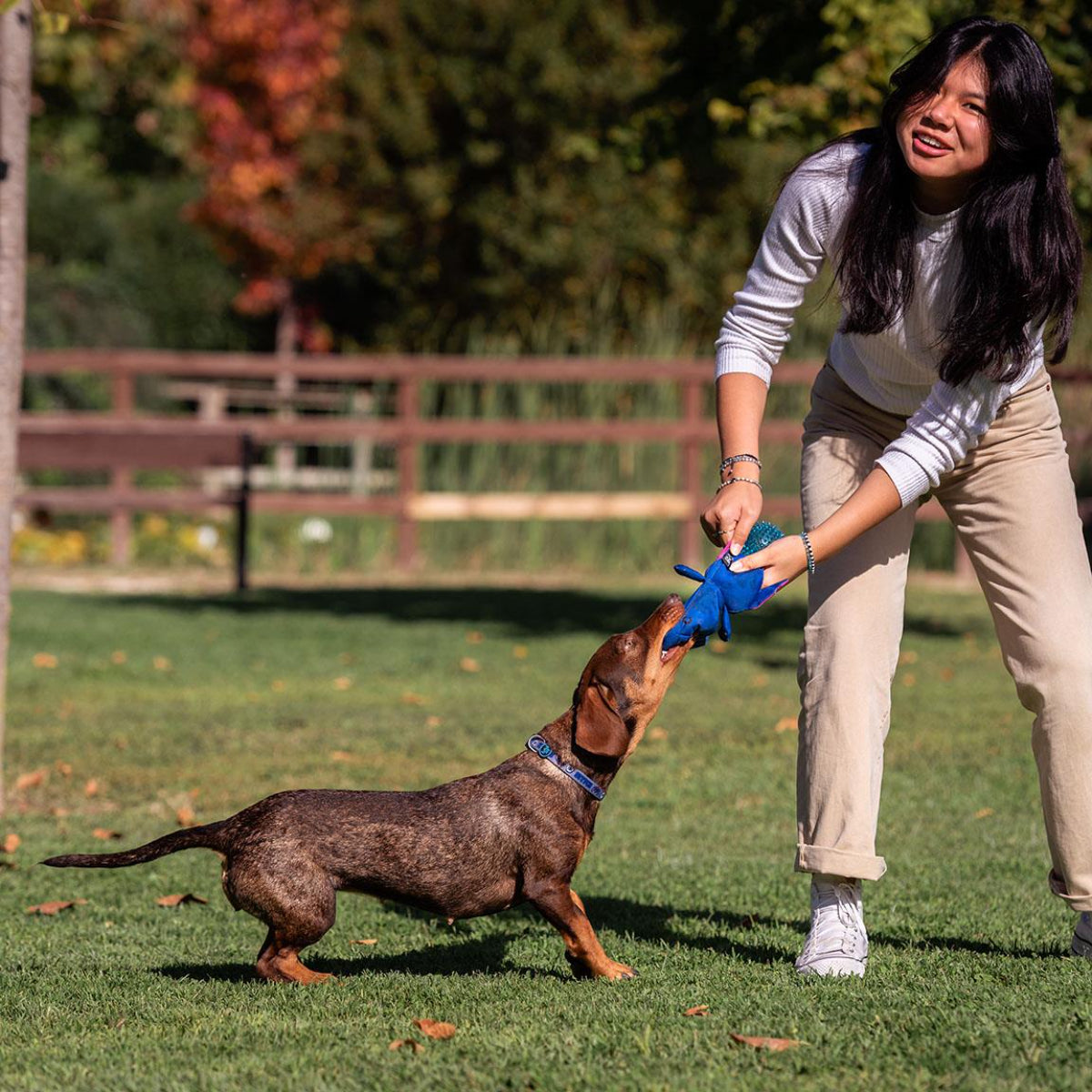 Disney Stitch Hundespielzeug Ball Beißrform für gesunde Zähne und Zahnfleisch