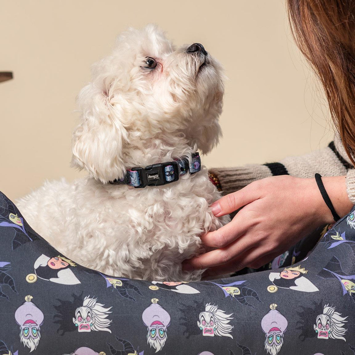 Disney Villanas Hundehalsband  M / L - Verstellbar, robust & bequem