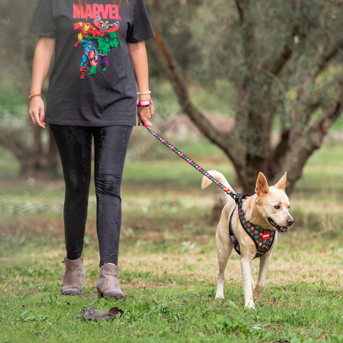 Marvel - Hundeleine M Größe - aus Polyester mit Metallclip