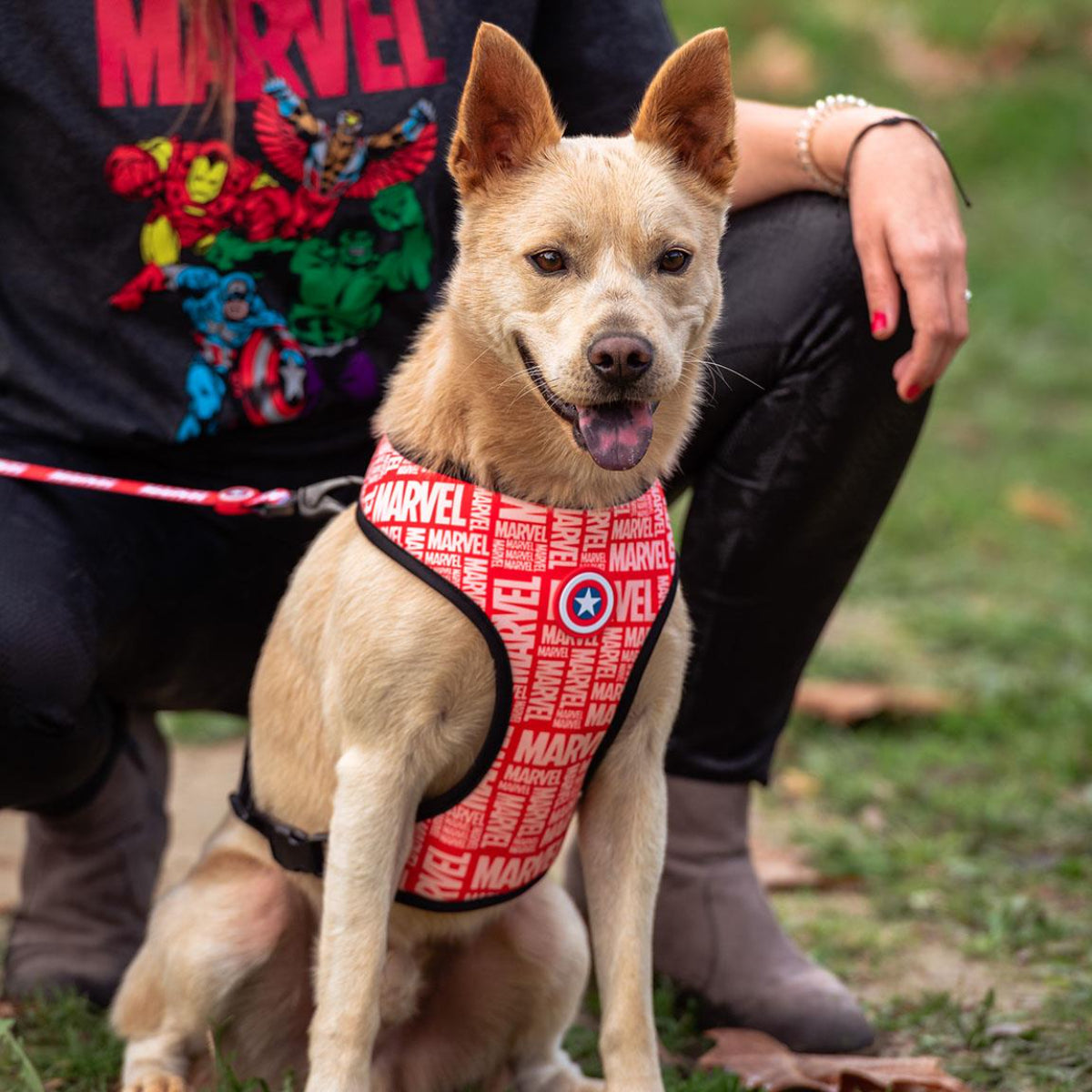 Marvel Avengers Hundegeschirr M/L Verstellbar & bequem für Hunde