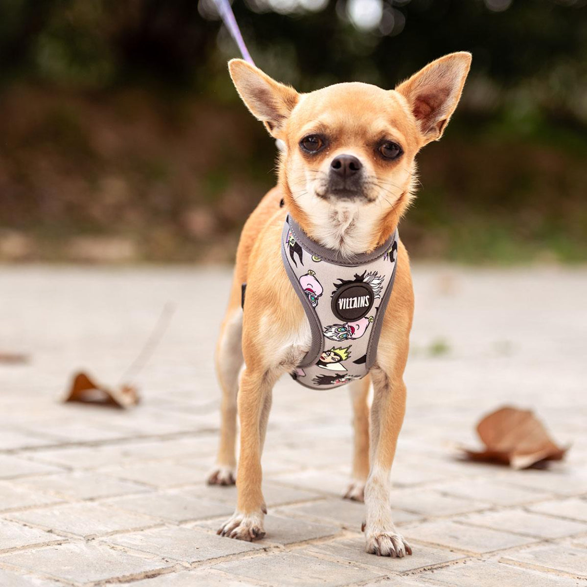 Disney Hundegeschirr S/M Villains Verstellbar & bequem für Hunde