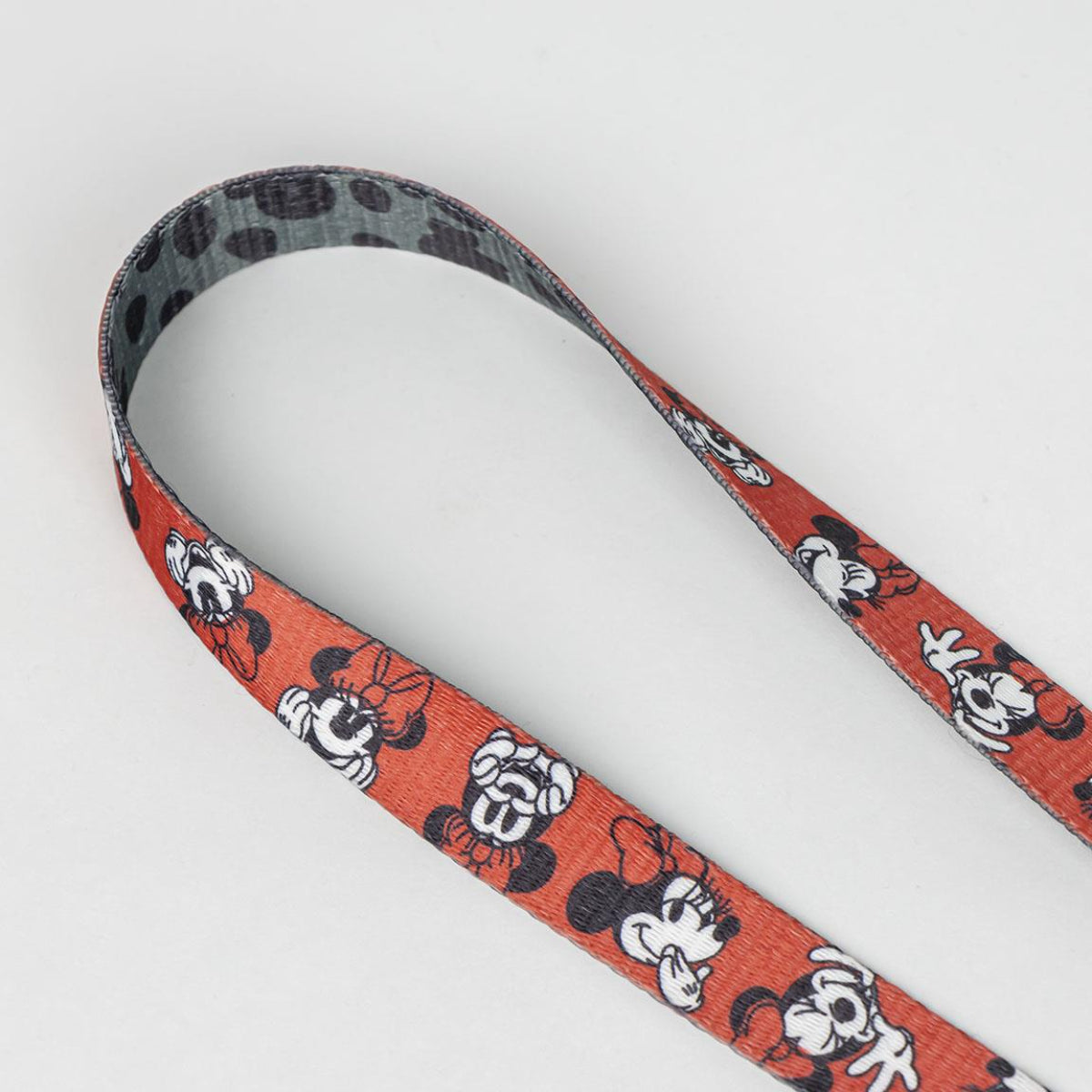 Disney Minnie Mouse M - Hundeleine aus Polyester mit Metallclip