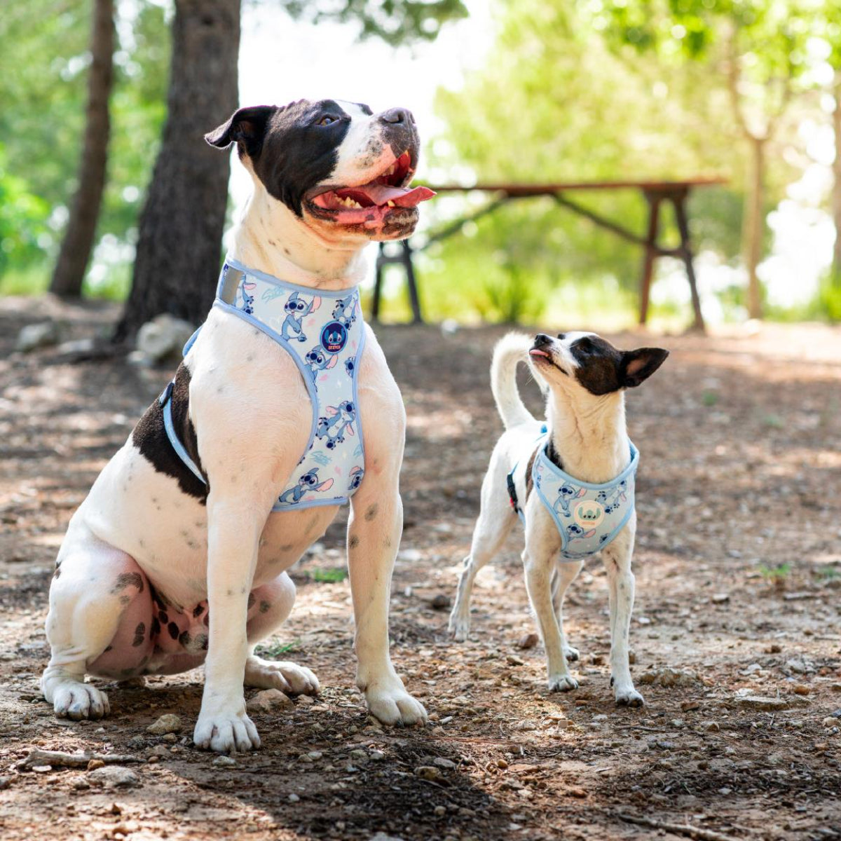 Lilo & Stitch Hundegeschirr S/M Sicheres Hundegeschirr für Spaziergänge & Outdoor