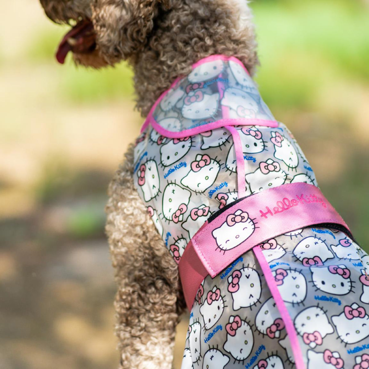 Hello Kitty Hunderegenmantel – Leichte, wasserdichte Jacke für Spaziergänge