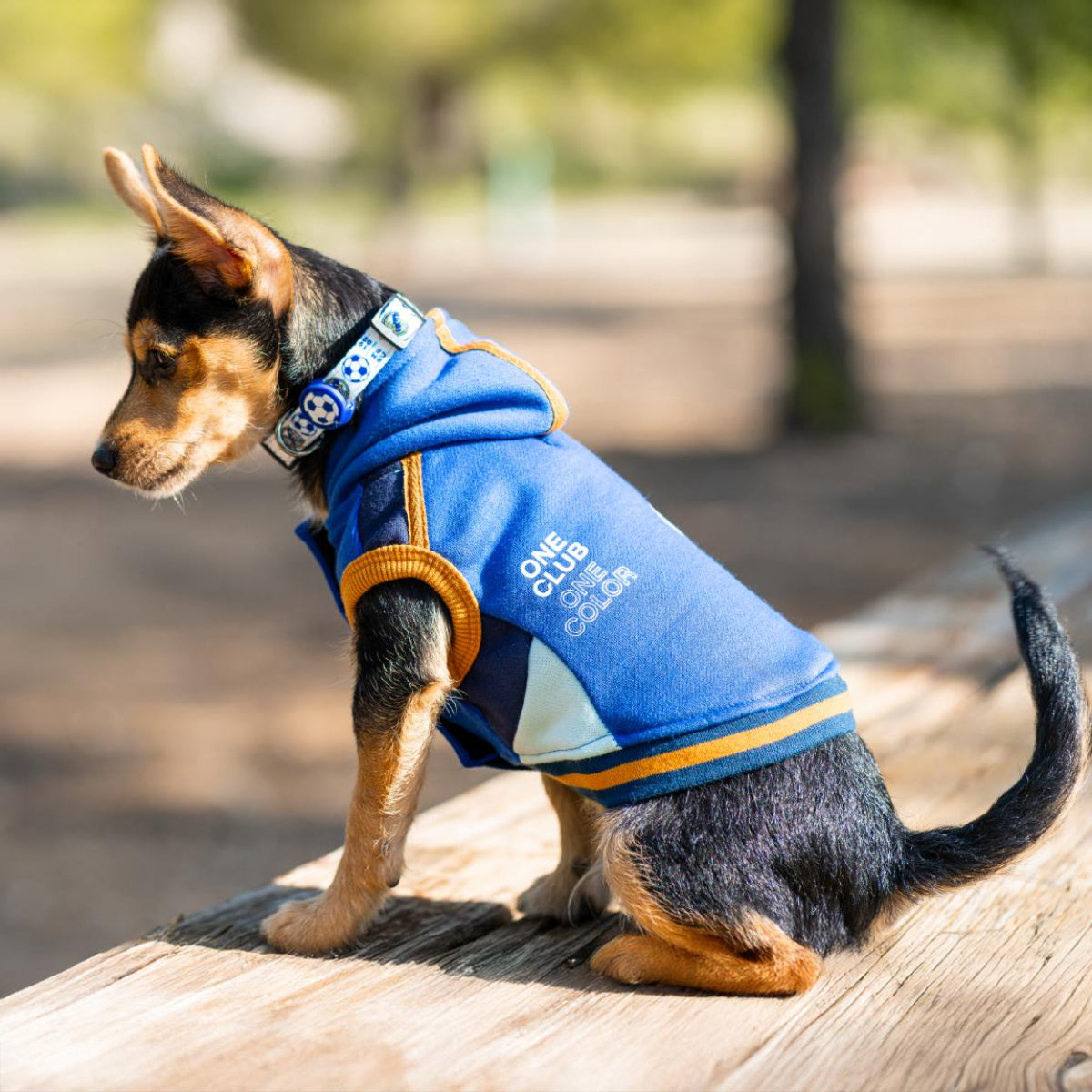 Real Madrid Haustier-Pullover – Stylisches Sweatshirt für Hunde