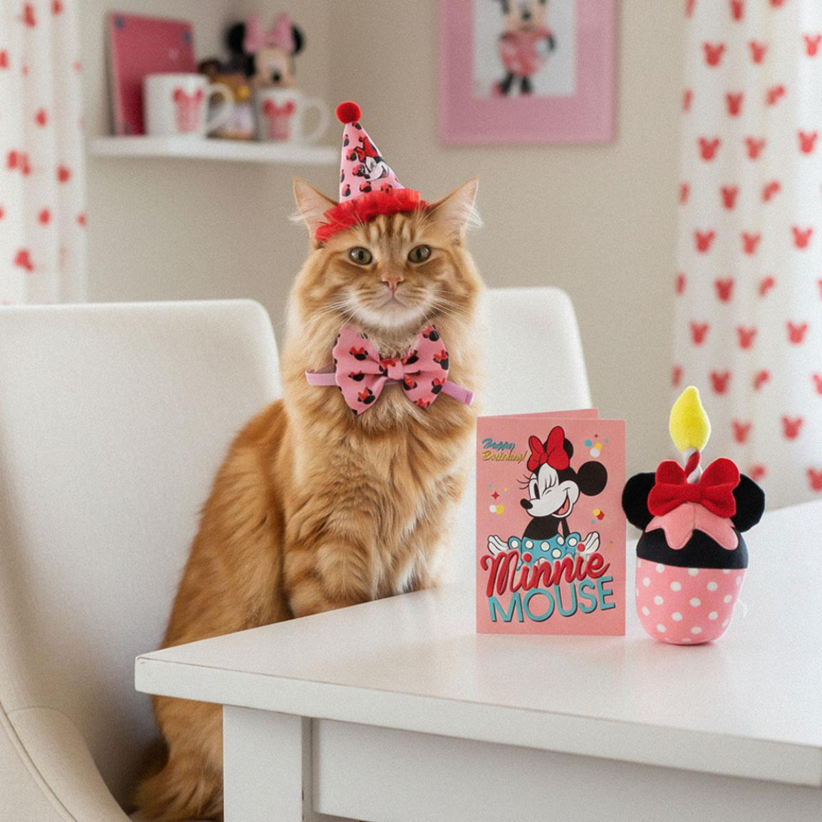 Disney Minnie Mouse Hunde Katzen Geburtstag Set Haustier Partyset