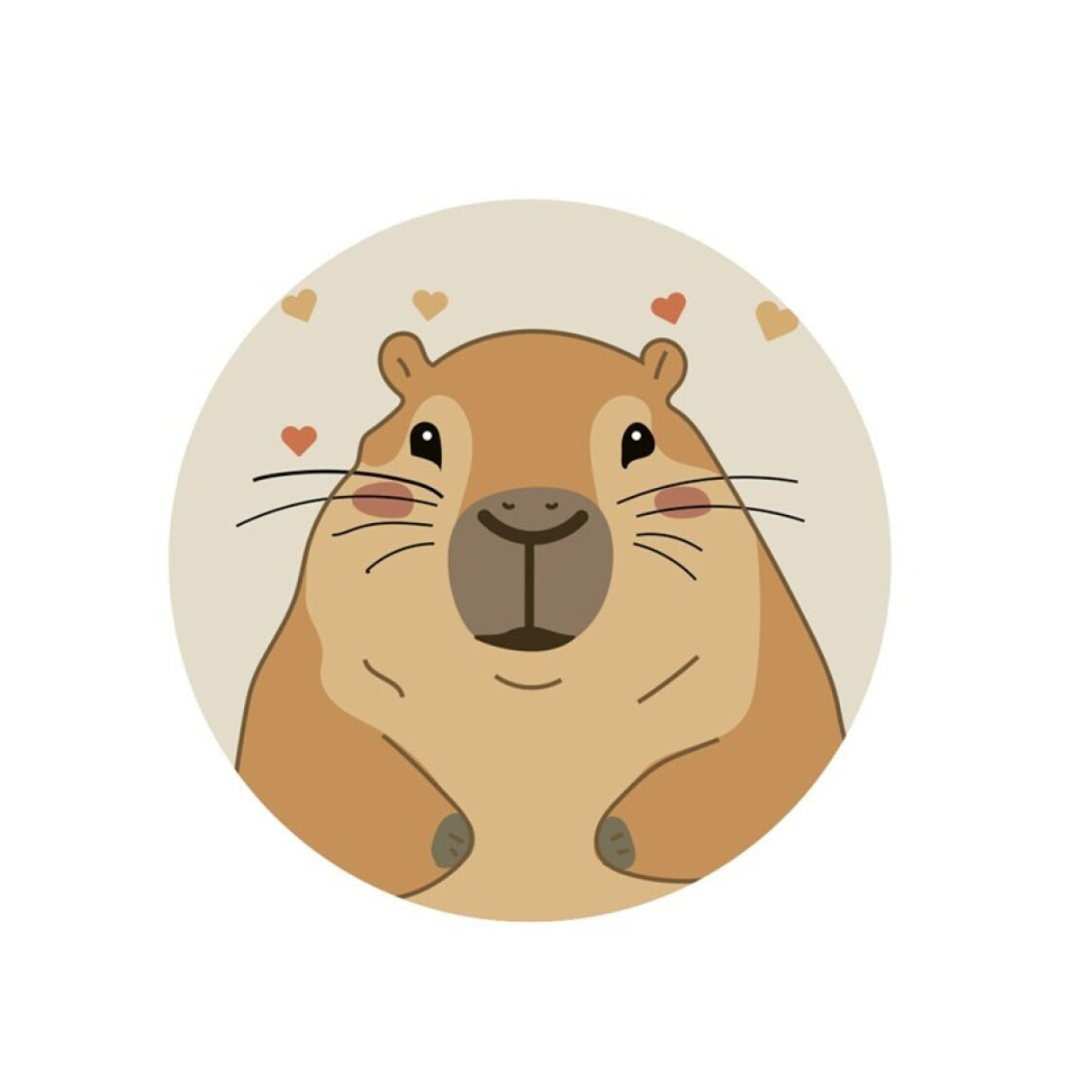 Capybara Kinder Kissen als Formkissen für Schlafzimmer Freizeit und Zuhause