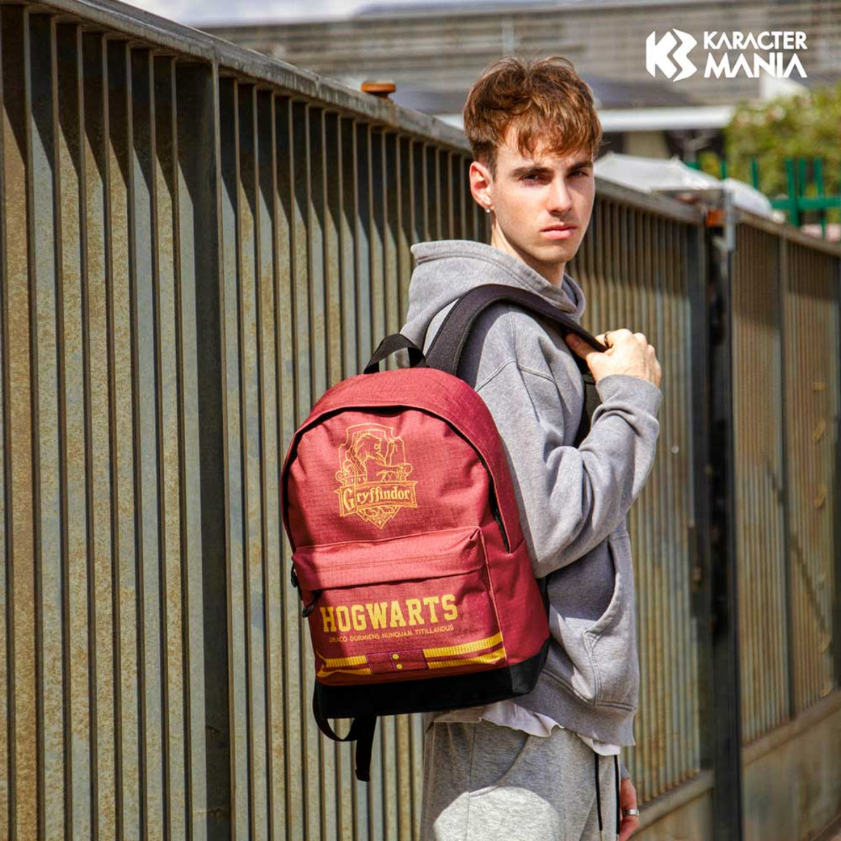 Harry Potter Gryffindor Rucksack 44 cm Rot Freizeit Schule Reise