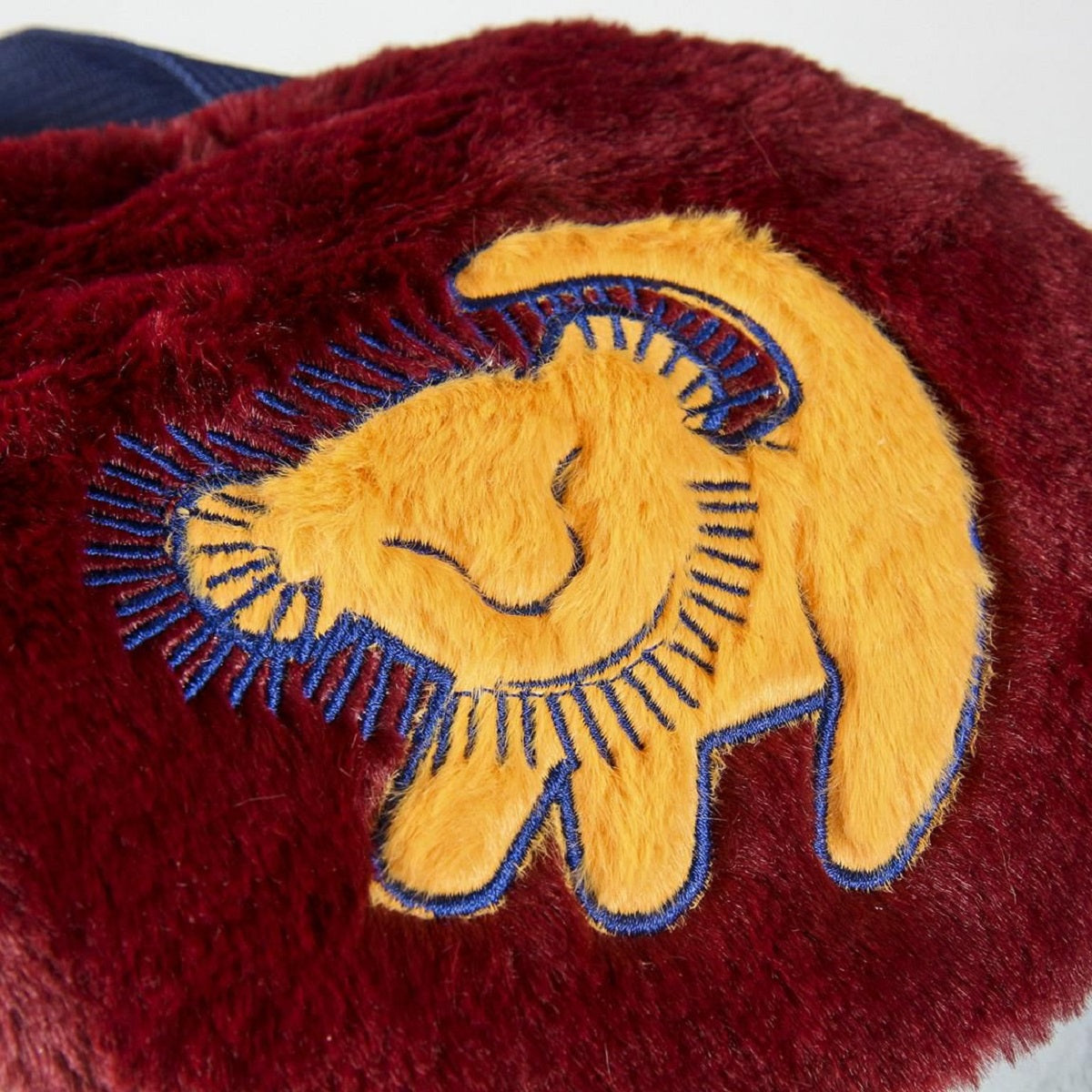 Der König der Löwen Kinder Rucksack – Schulrucksack und Freizeitrucksack für Jungen und Mädchen