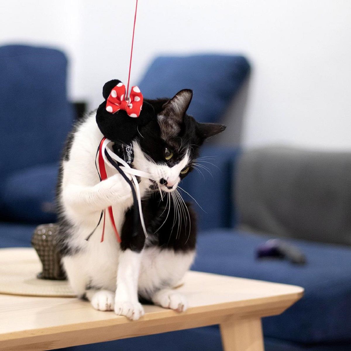 Disney Minnie Mouse Interaktive Katzenangel – Spielspaß für aktive Stubentiger