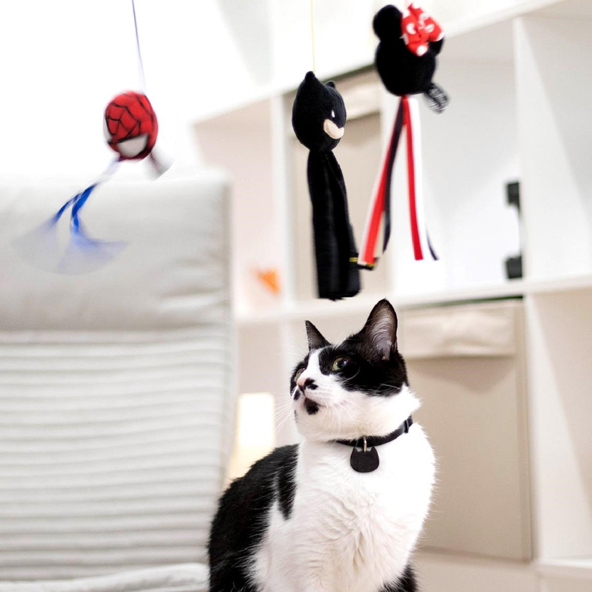 Spiderman Spielangel für Katzen – Fördert Bewegung & Jagdinstinkt