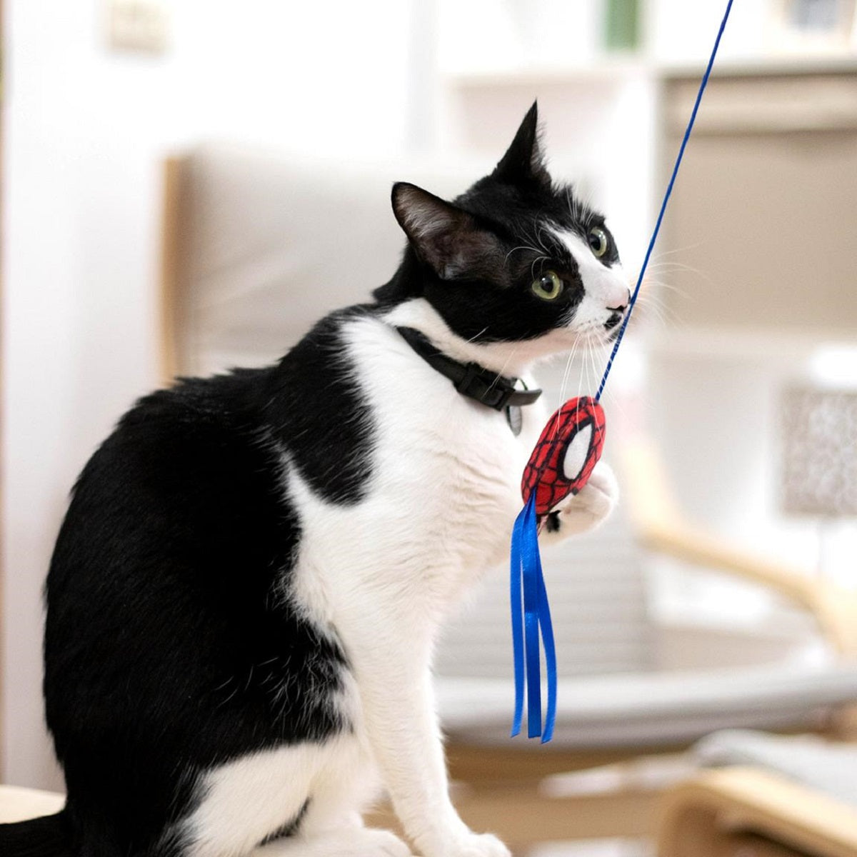 Spiderman Spielangel für Katzen – Fördert Bewegung & Jagdinstinkt