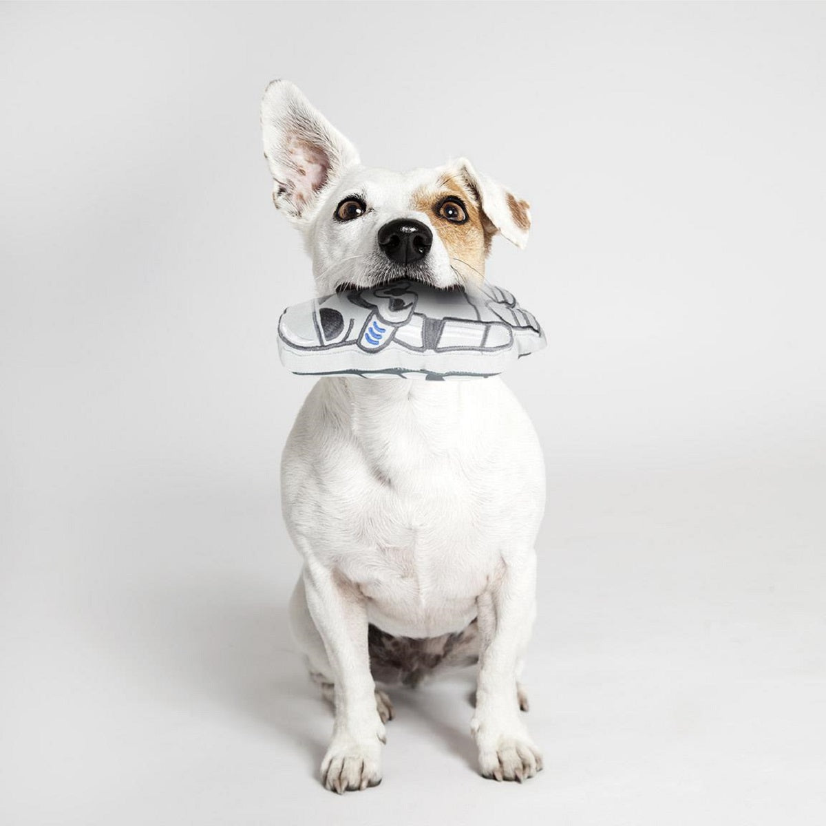 Spiderman Hundespielzeug – Quietschendes Kuscheltier aus Polyester