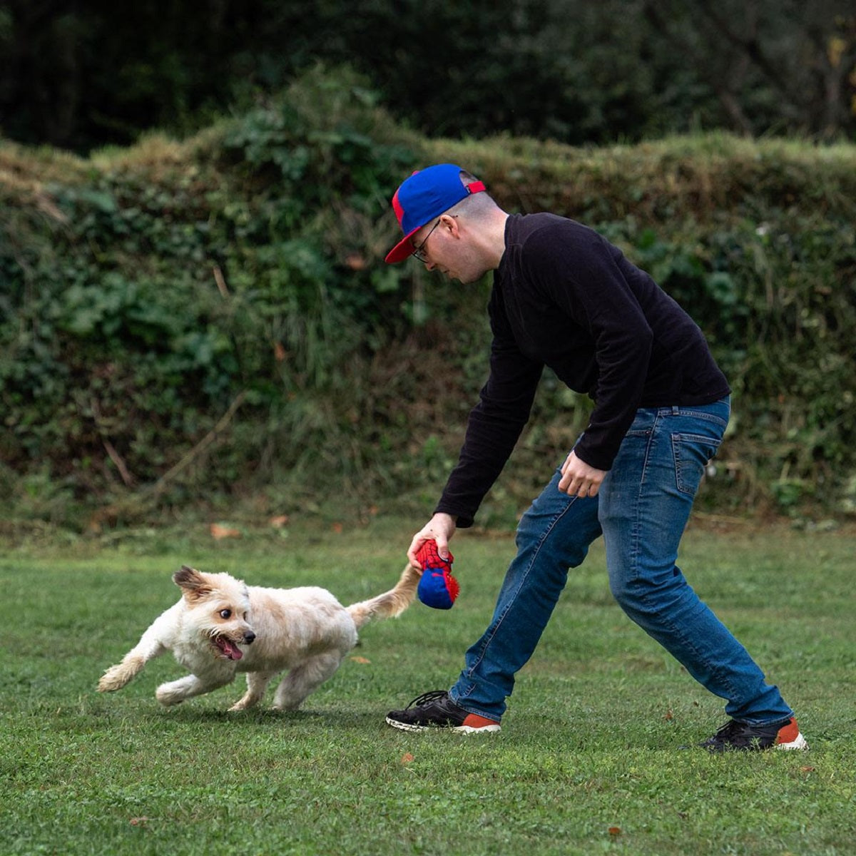 Spiderman Hundespielzeug – Weiches Kuscheltier mit integriertem Ball
