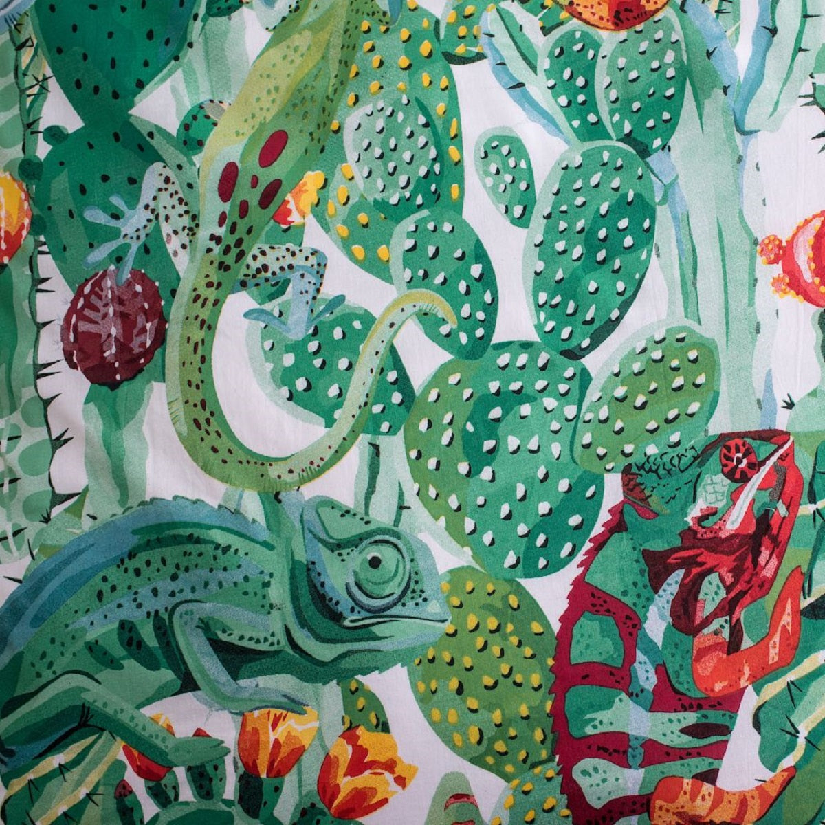 Chameleon Baumwoll-Bettwäsche 140x200 cm – Weiches Bettbezug Set mit Kissenbezug 70x90 cm, pflegeleicht & langlebig