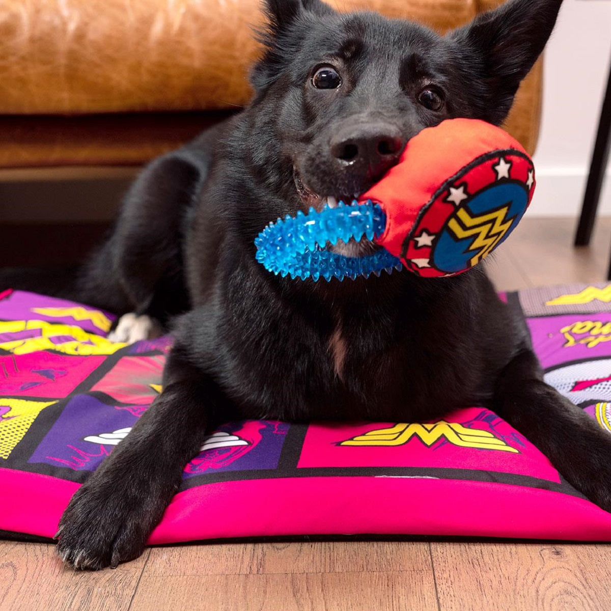 Wonder Woman Hundespielzeug – Beißring mit Quietscher & Zahnfleischmassage