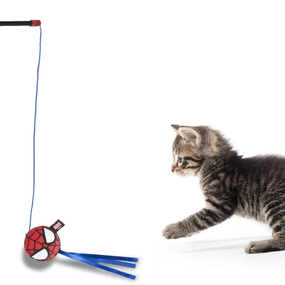 Spiderman Spielangel für Katzen – Fördert Bewegung & Jagdinstinkt