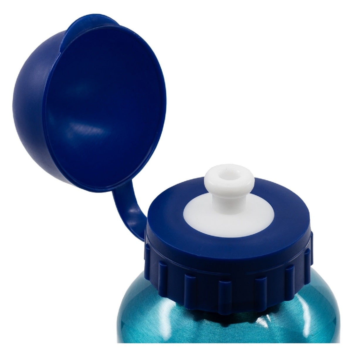 Bluey Aluminium Trinkflasche 400 ml – Auslaufsicher & Praktisch
