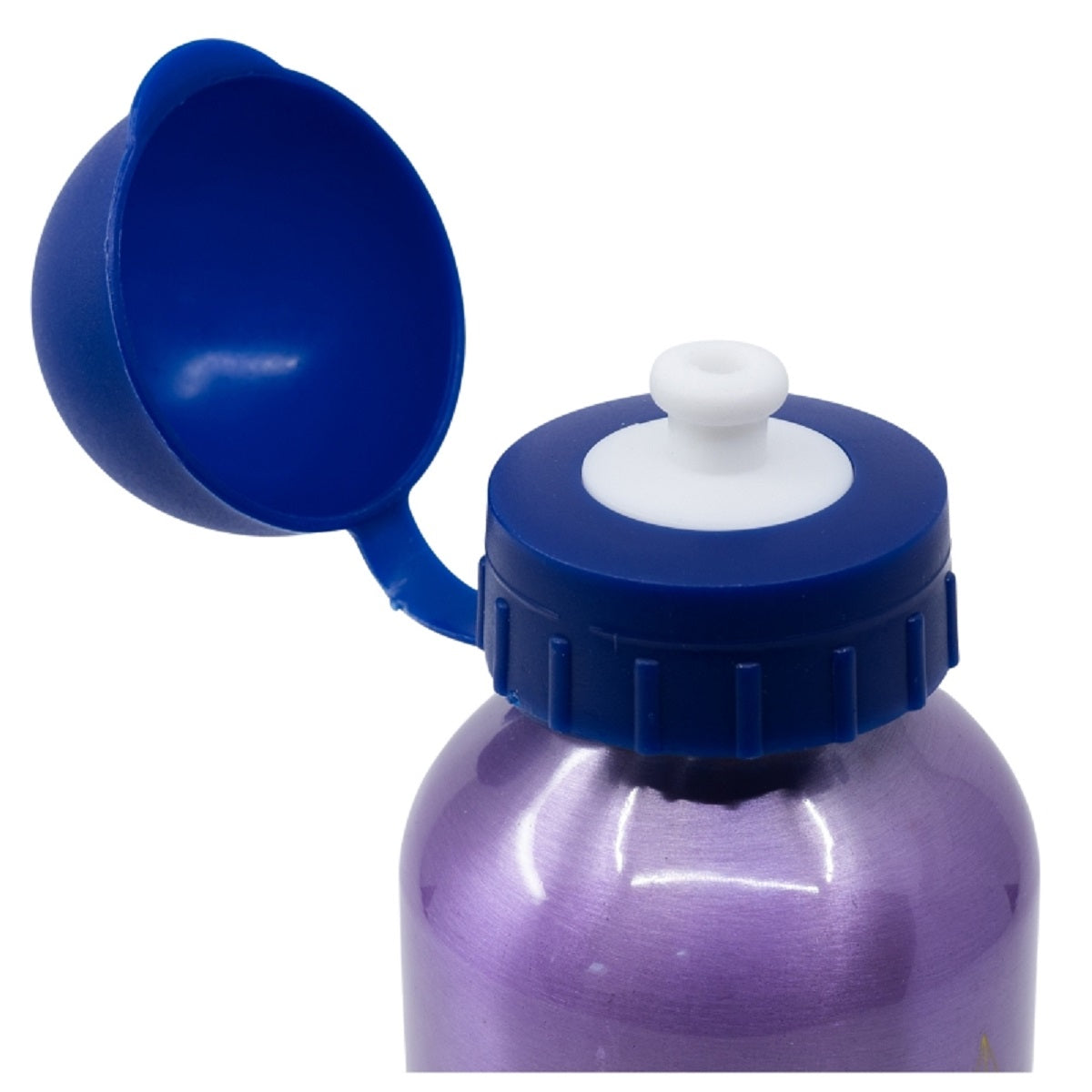 Disney Frozen Aluminium Trinkflasche 400 ml – Auslaufsicher & Praktisch