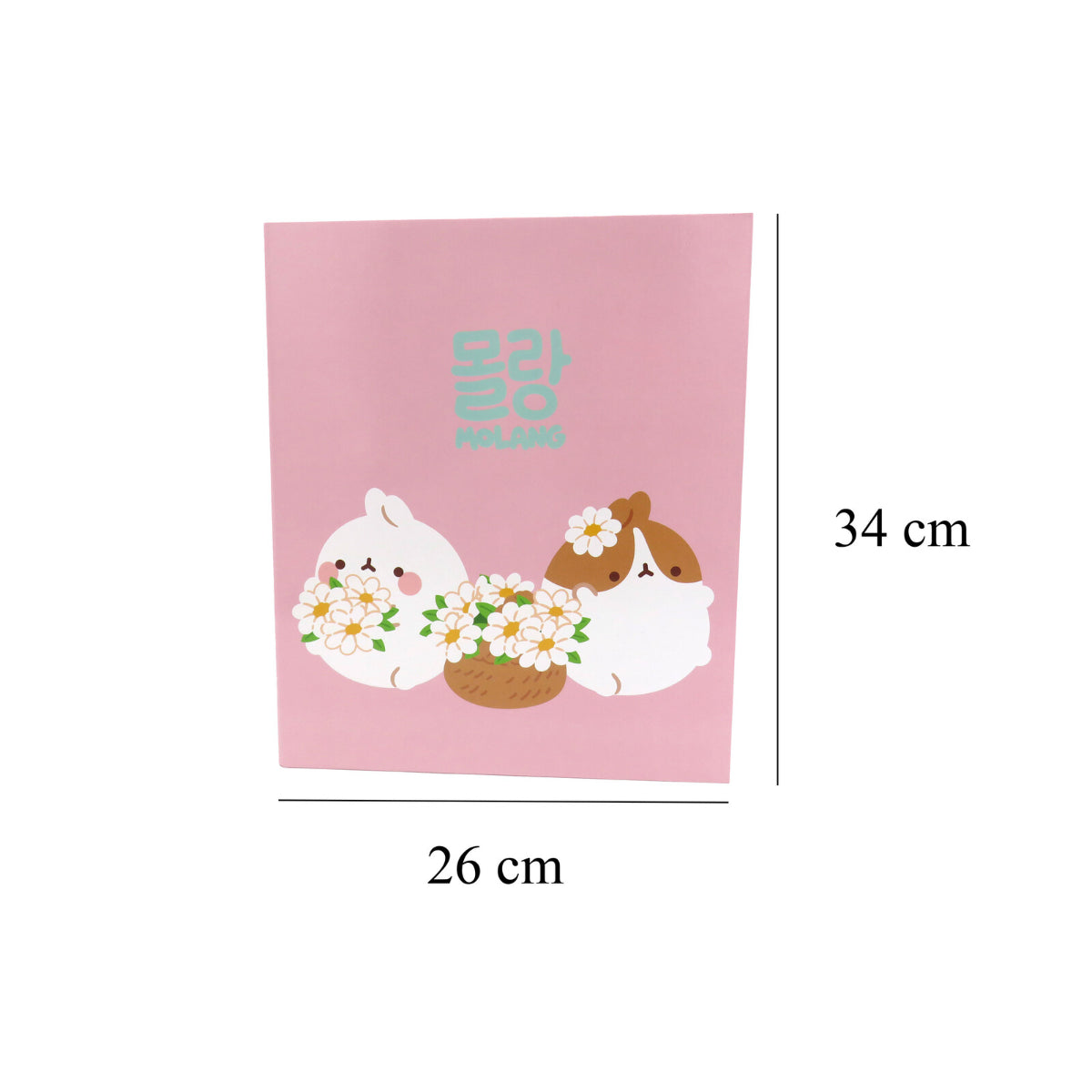 Molang 4 Ring Ordner Blüte Ringbuch Schulmappe A4 Schreibwaren 34 cm
