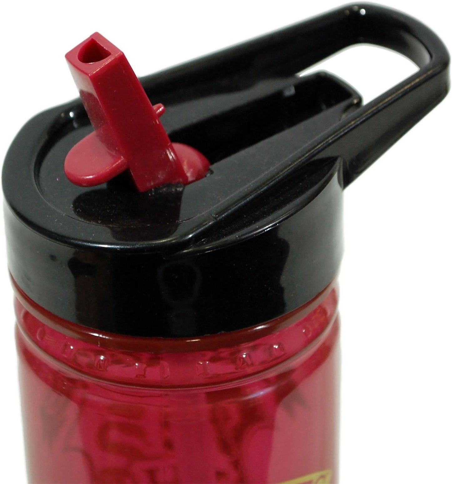 Harry Potter Trinkflasche Wasserflasche Ideal für die Schule oder Unterwegs