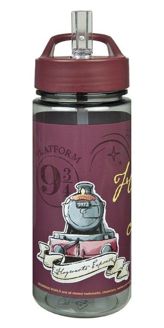Harry Potter Trinkflasche Wasserflasche Ideal für die Schule oder Unterwegs