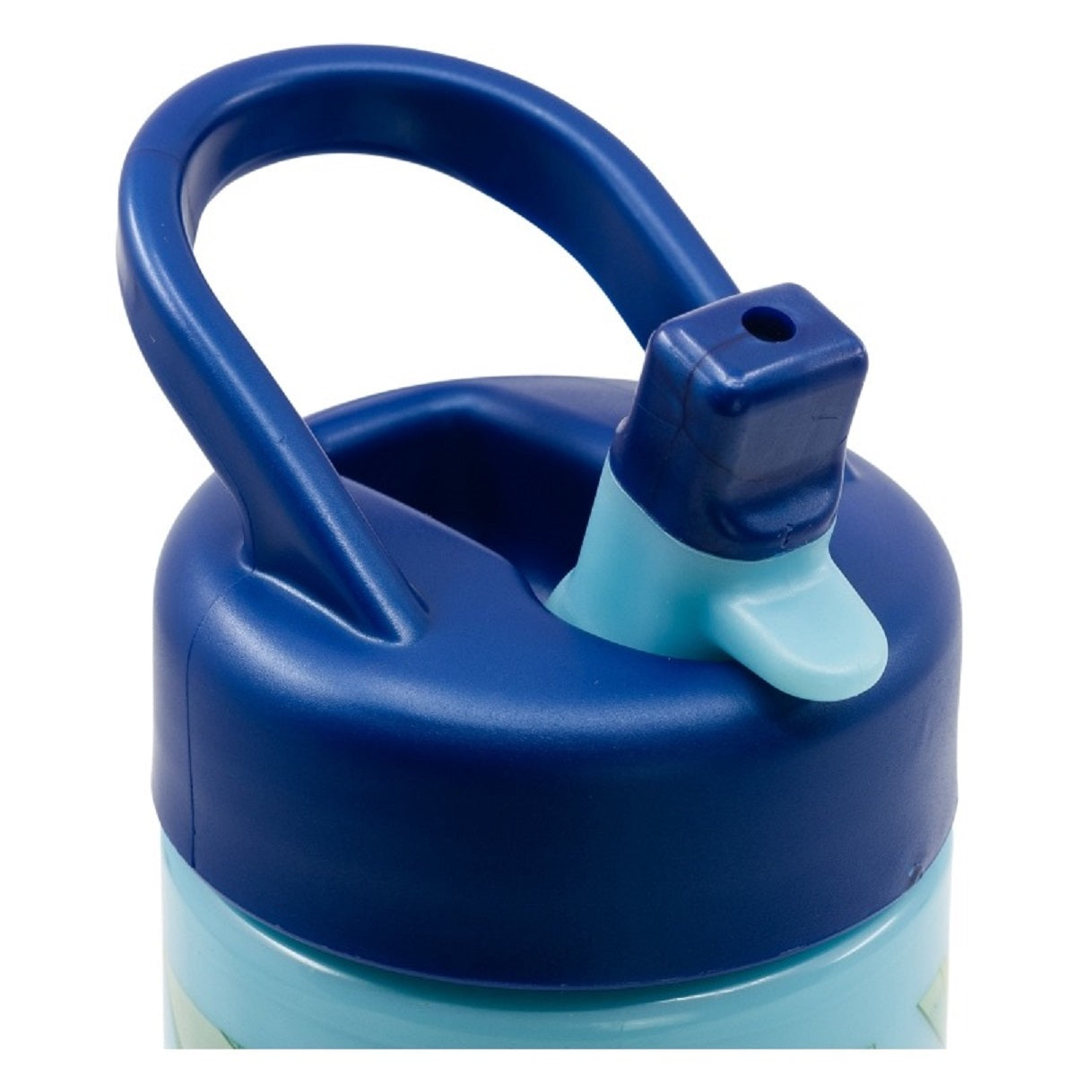 Bluey Kinder Wasserflasche 410 ml für Alltag Schule und unterwegs