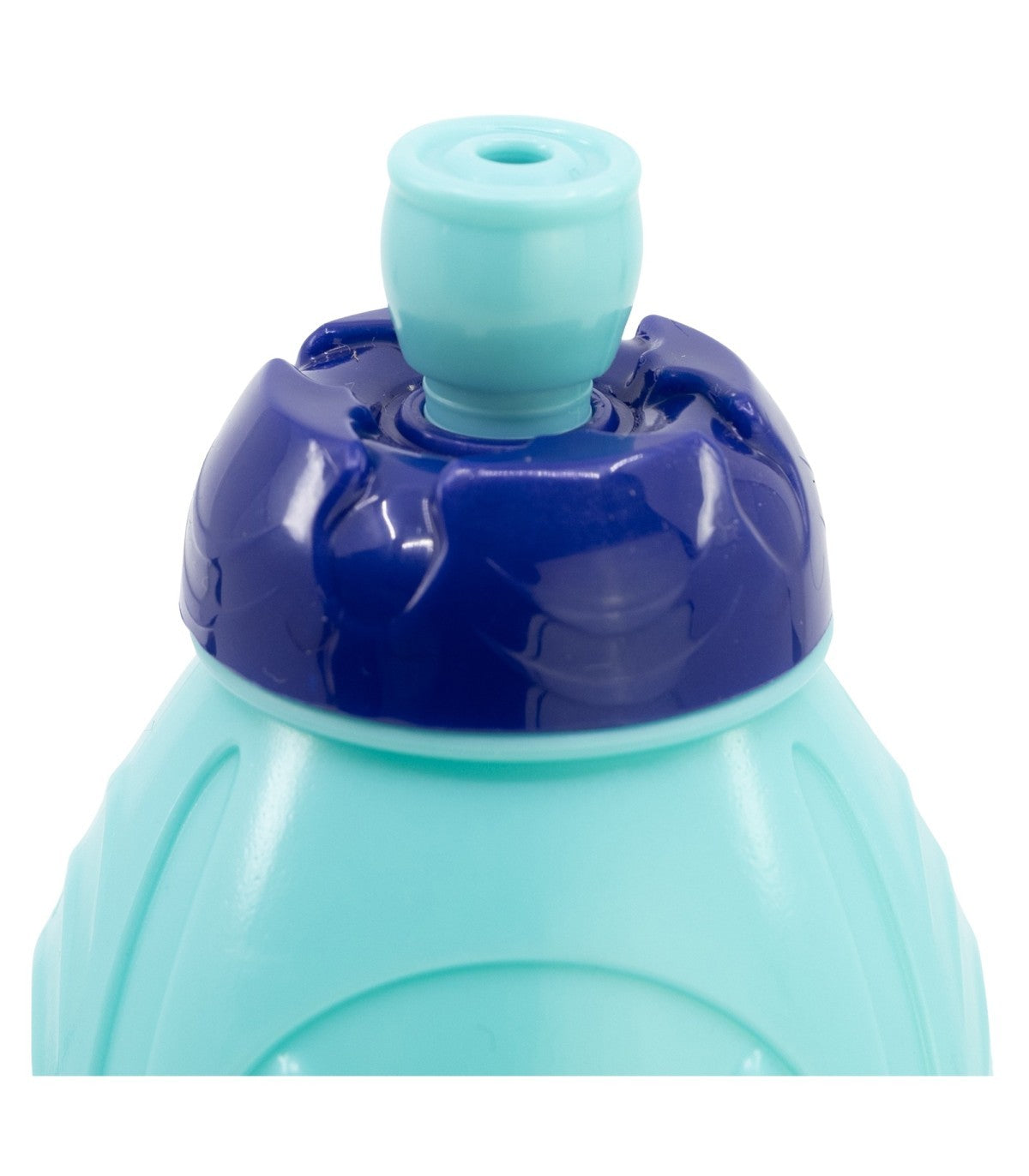 Bluey Kindertrinkflasche 400 ml für Schule und Freizeit
