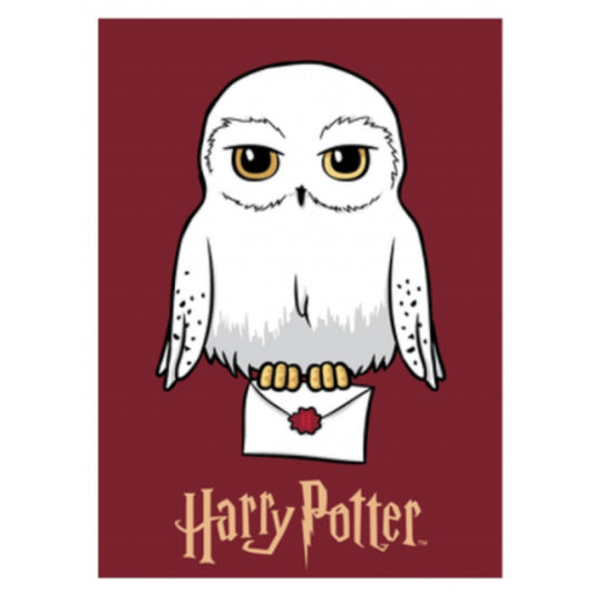 Harry Potter Kuscheldecke für Kinder – Fleecedecke für magische Momente