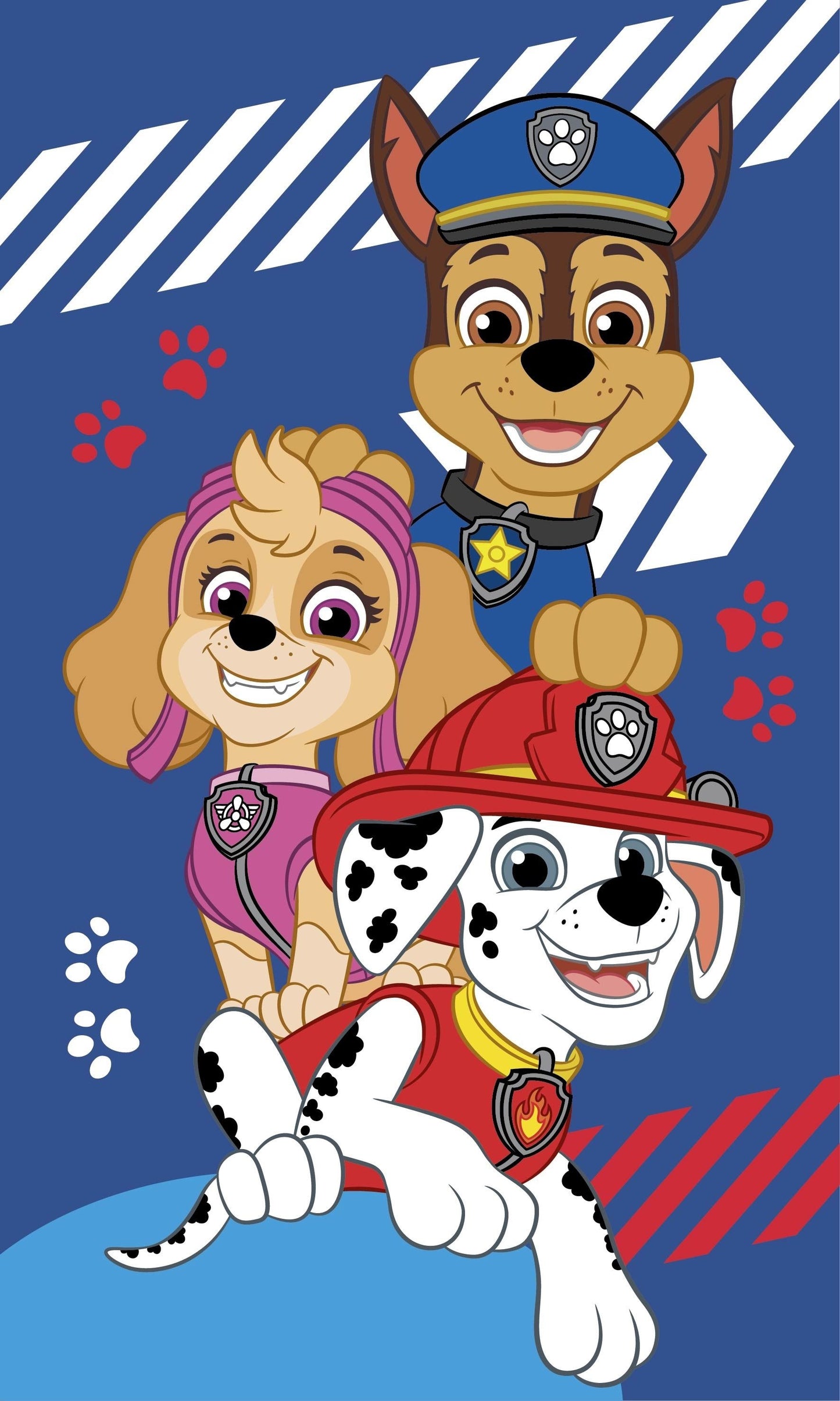 Paw Patrol Handtuch 100% Baumwolle, 30x50 cm, schnelltrocknend & bedruckt