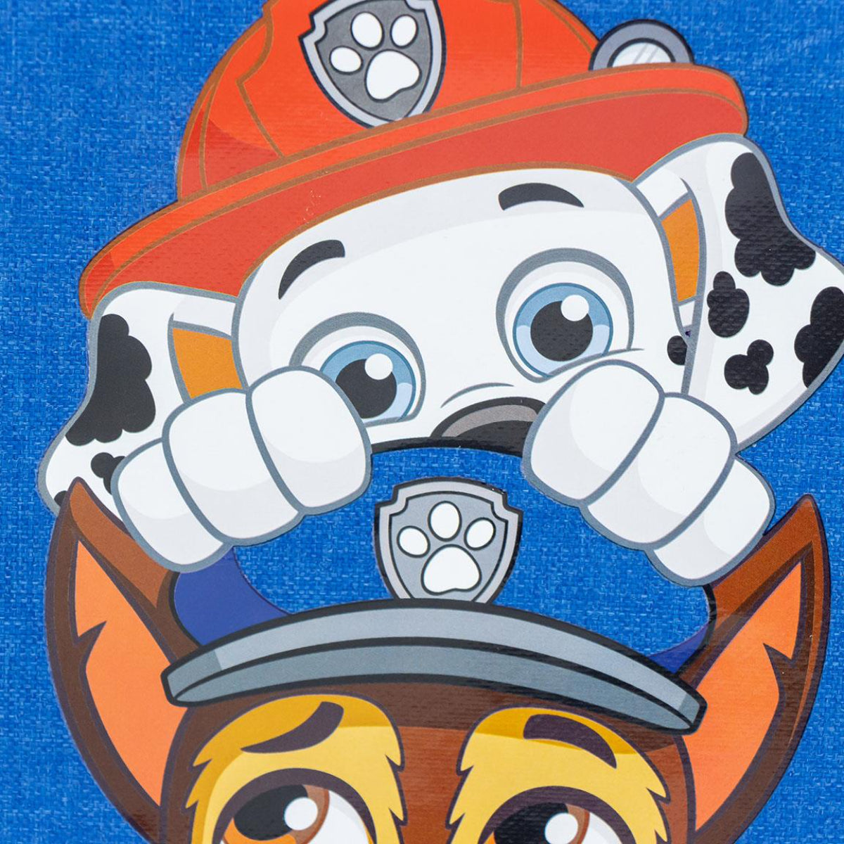 Paw Patrol FreshBox Isoliertragetasche Kühltasche & Picknicktasche mit Thermo-Innenfutter