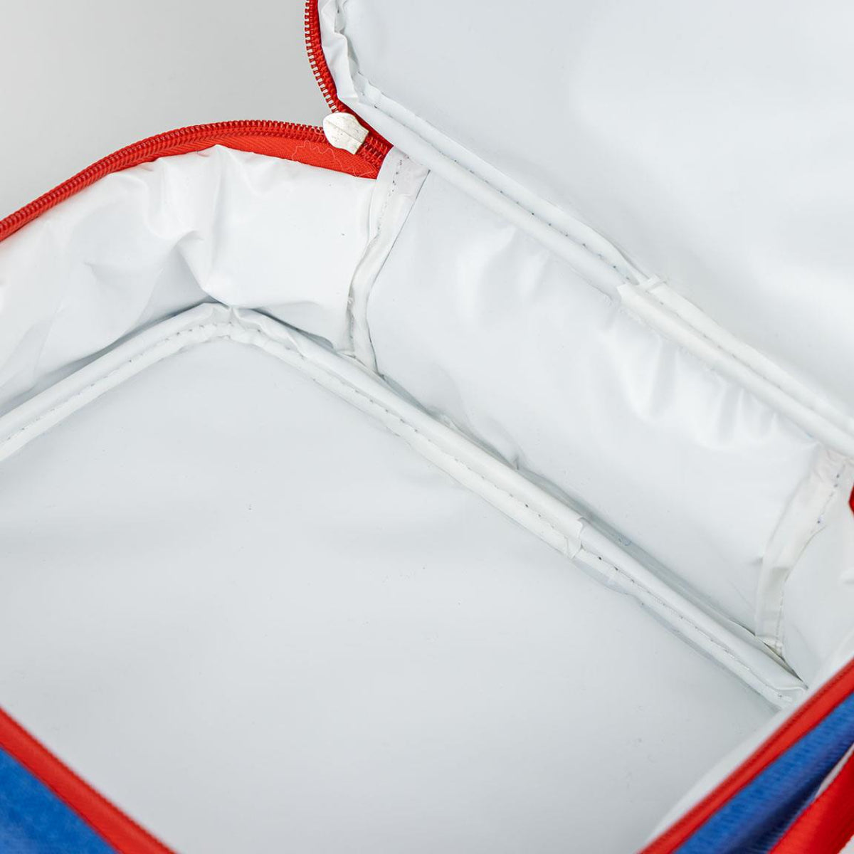 Paw Patrol FreshBox Isoliertragetasche Kühltasche & Picknicktasche mit Thermo-Innenfutter