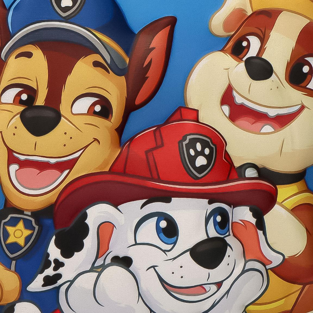 Paw Patrol 3D Isoliertasche Kinder 26 × 21 × 6 cm Lunchbag Brottasche für Schule und Ausflüge