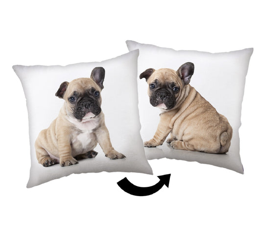 Bulldog Kopfkissen (1 Stück) Premium Dekokissen mit beidseitigem Digitaldruck