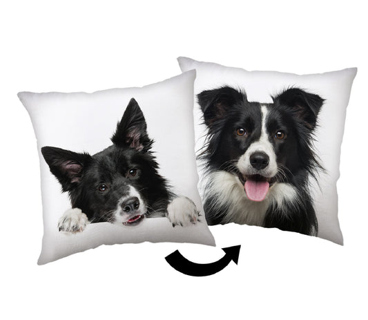 Border Collie Kopfkissen (1 Stück) Premium Dekokissen mit beidseitigem Digitaldruck