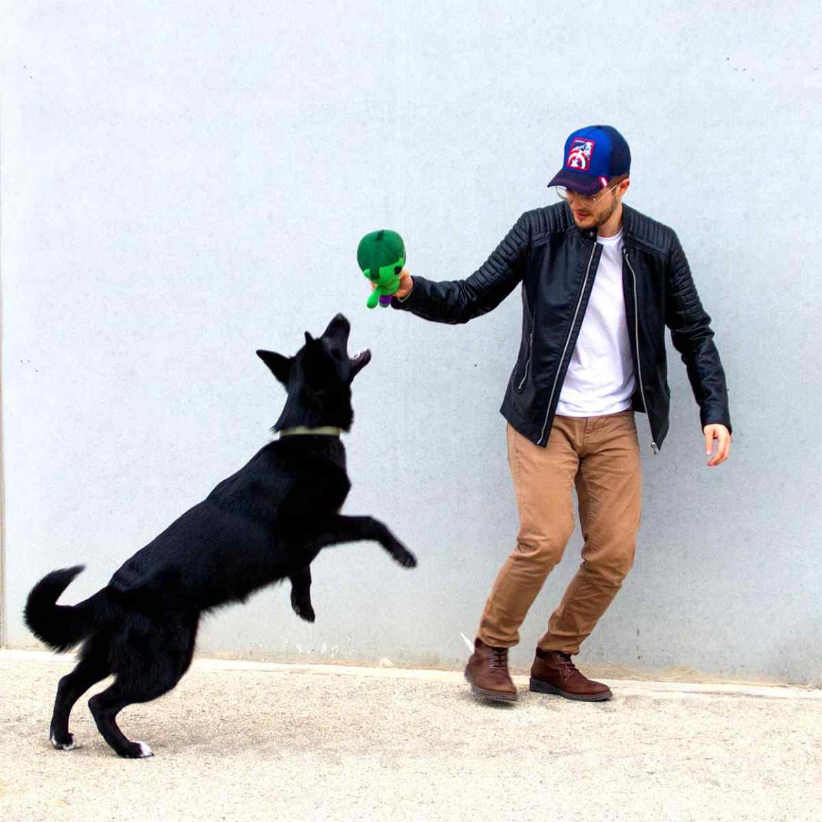 Marvel Avengers Spielzeug für Hunde aus strapazierfähigem Polyester