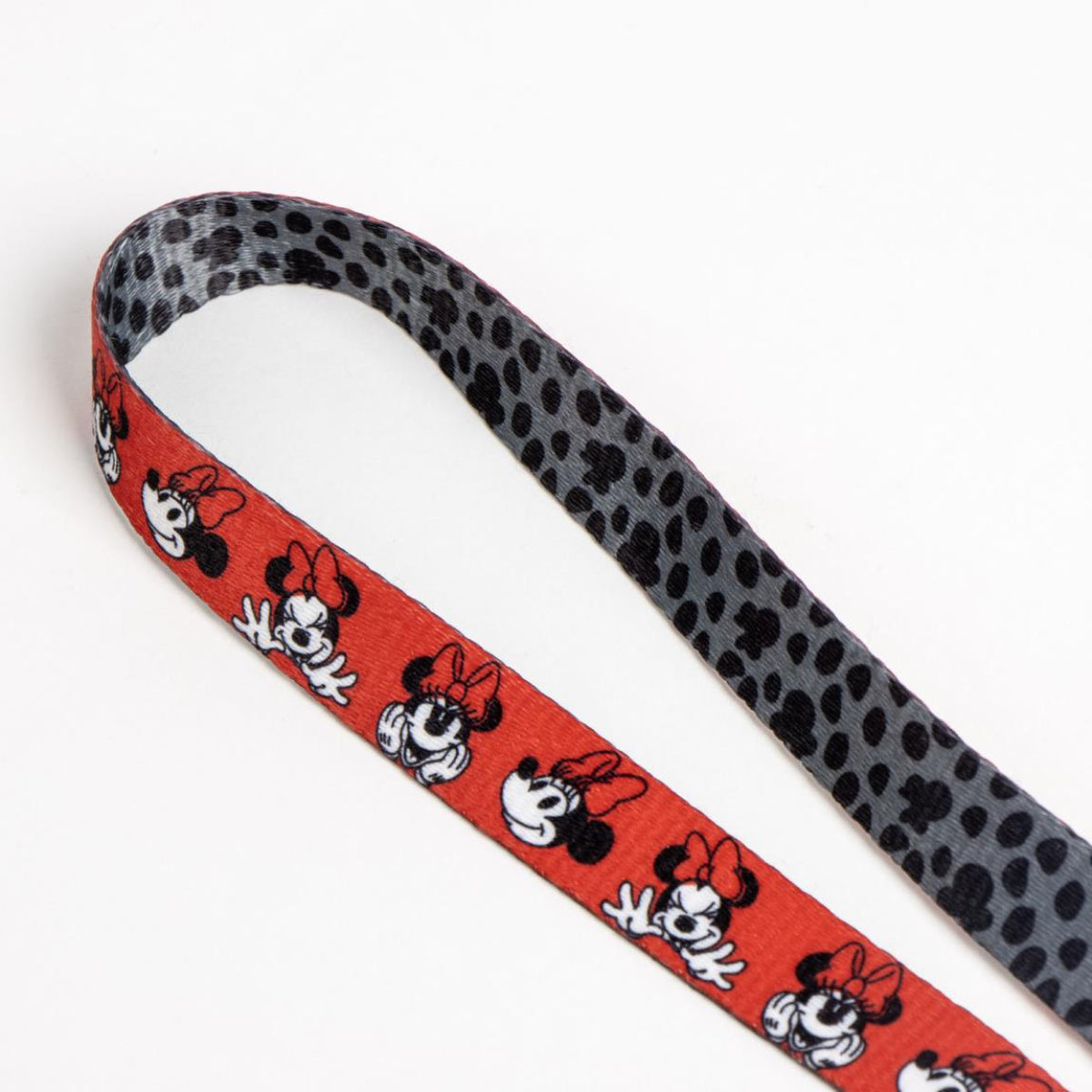 Disney Minnie Mouse Haustier Hundeleine M (216 cm) strapazierfähige Leine für Hunde Alltag