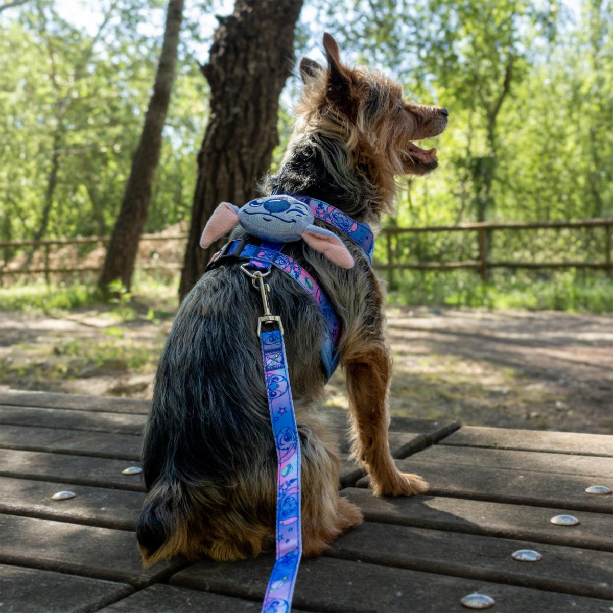 Marvel Spider-Man Hunde Geschirr mit Leine für Spaziergänge und Alltag