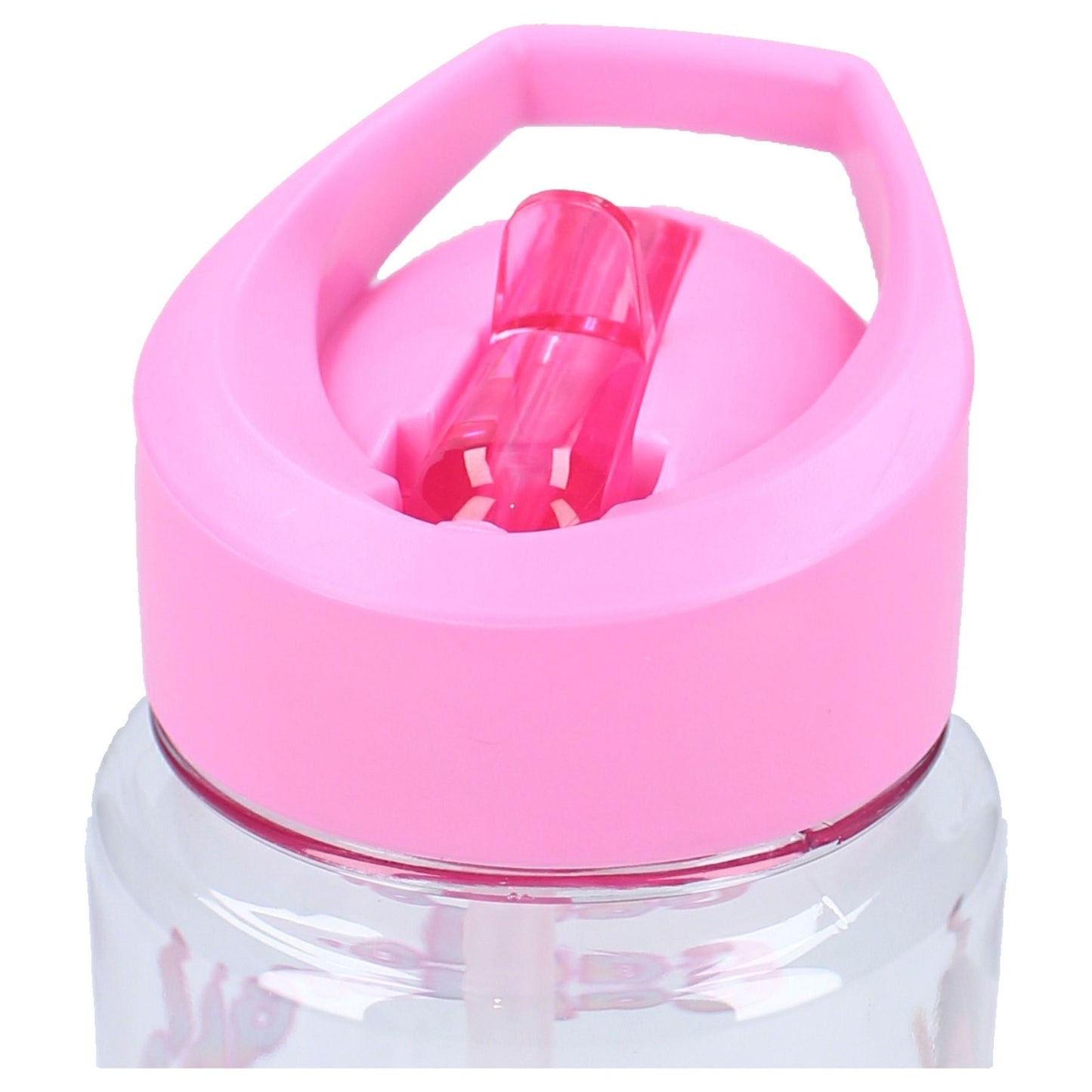 Gabby's Dollhouse Trinkflasche 450 ML für Kinder ideal für Schule und Freizeit