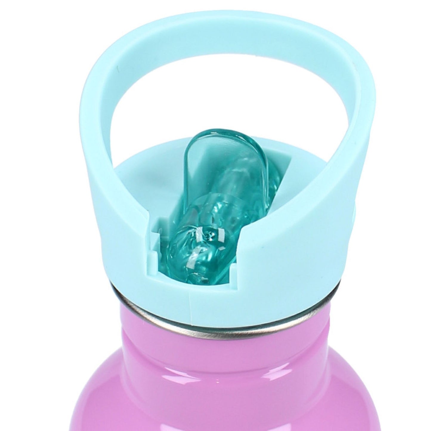 Gabby's Dollhouse Trinkflasche 500ml für Kinder ideal für Schule und Freizeit