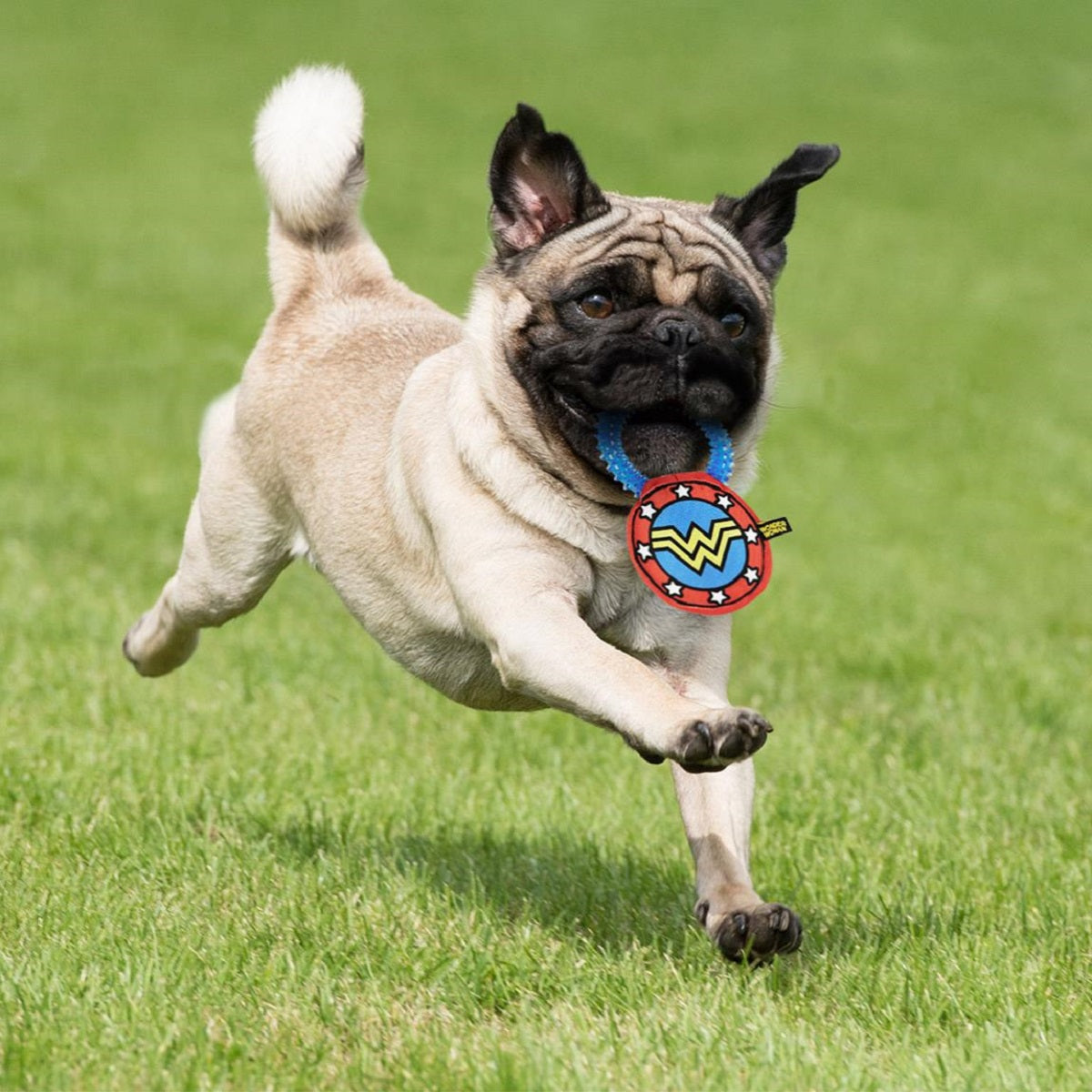 Wonder Woman Hundespielzeug – Beißring mit Quietscher & Zahnfleischmassage