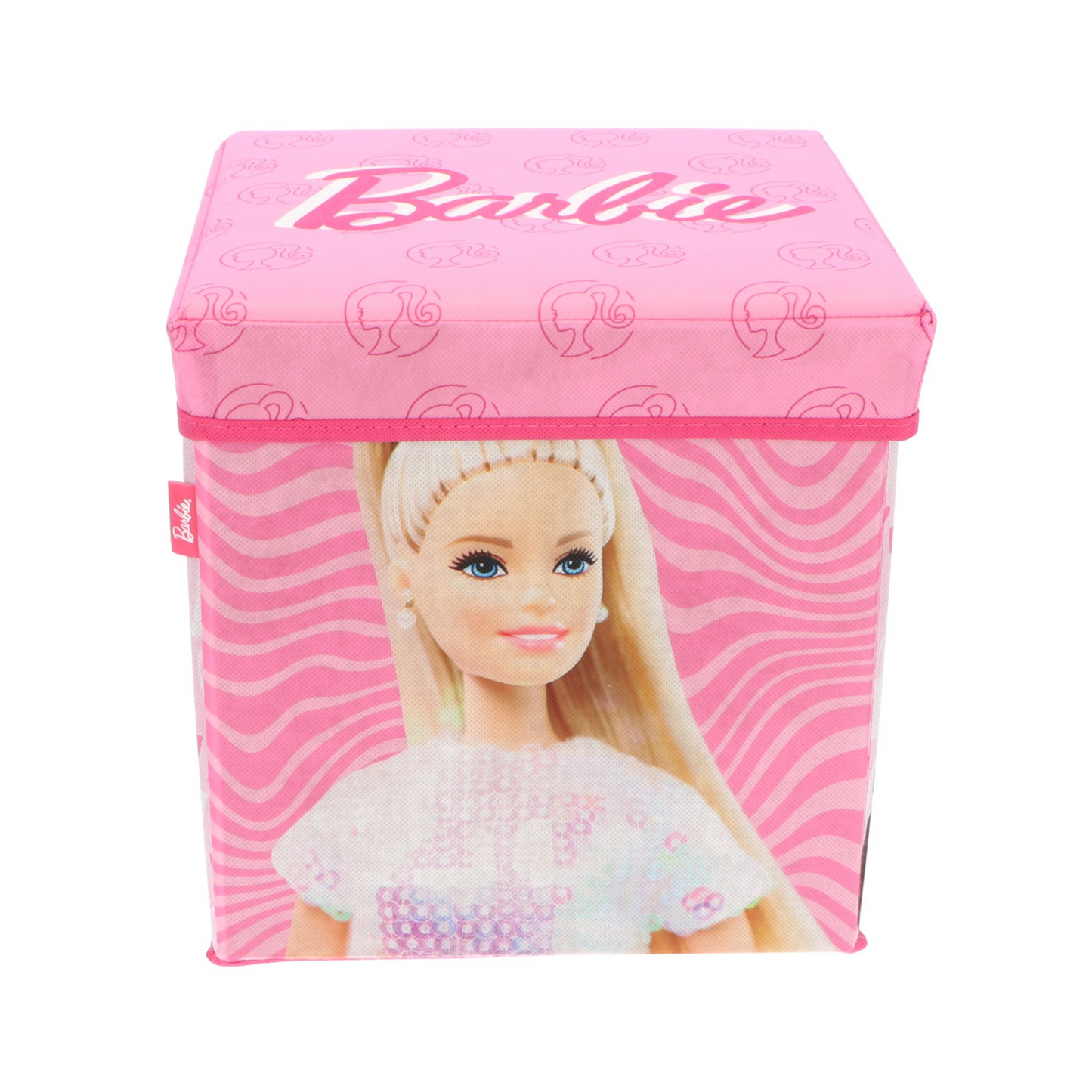 Barbie Aufbewahrungsbox/Stuhl zusammenklappbar 30x30x30 cm