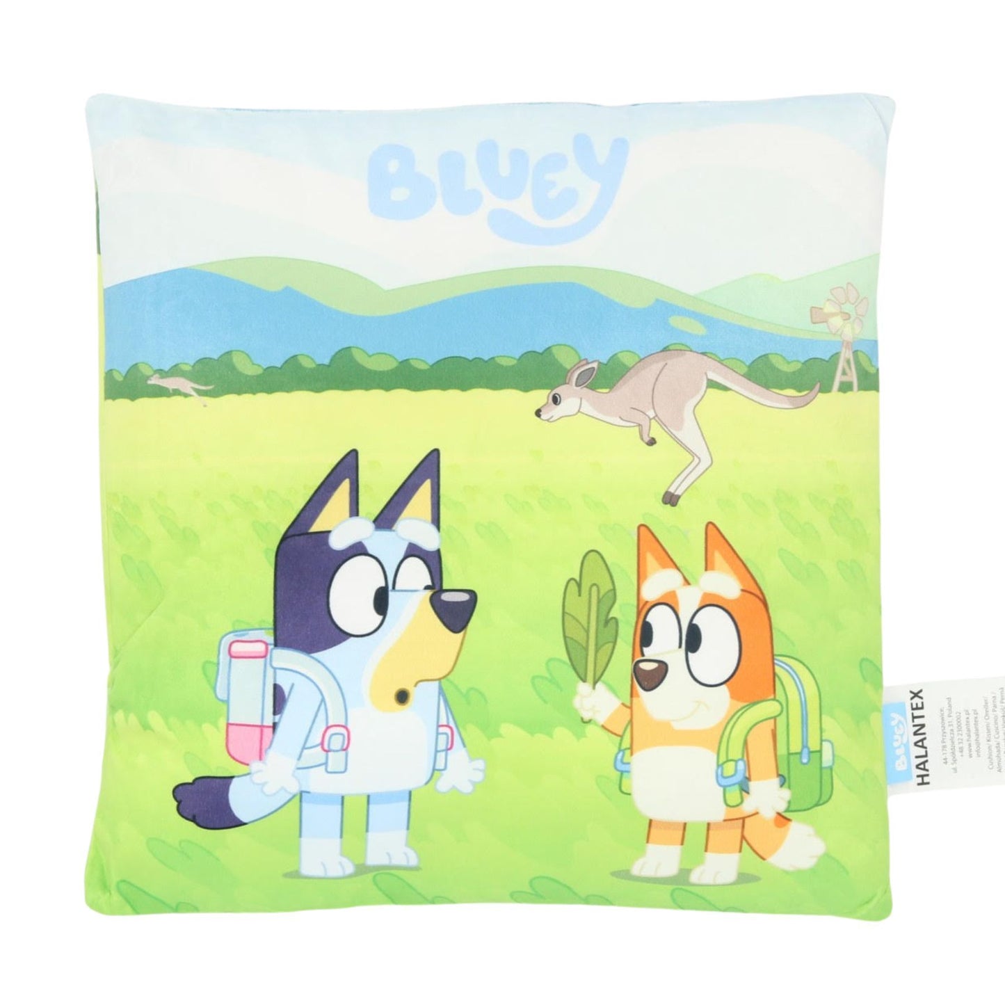 Bluey Kissen – Weiches Dekokissen 1-Stück 38x38 cm mit Serienmotiv
