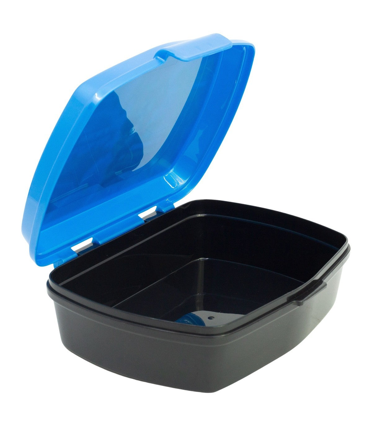 Italian Brainrot Lunchbox Kinder Brotdose für Schule Freizeit und Ausflug