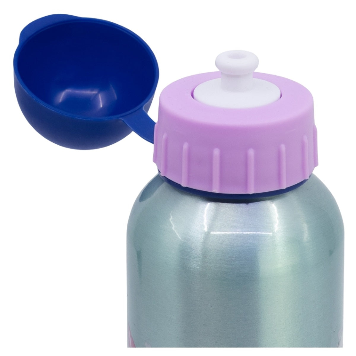 Disney Frozen Trinkflasche – Aluminium, 530 ml, mit Sicherheitsverschluss