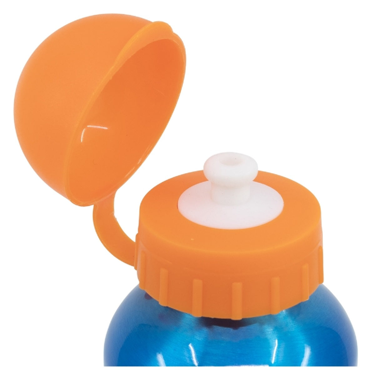 Pokemon Distorsion Aluminium Trinkflasche 530 ml – Ideal für Fans